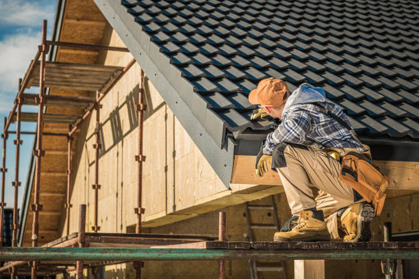 Gutter Installation and Roofing in Panaca, NV